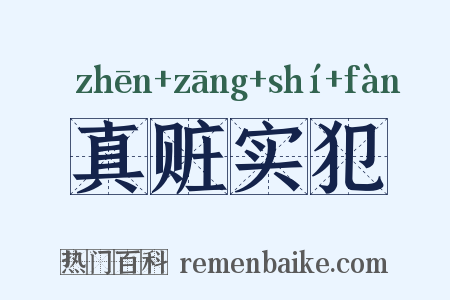 真赃实犯是什么意思的图片